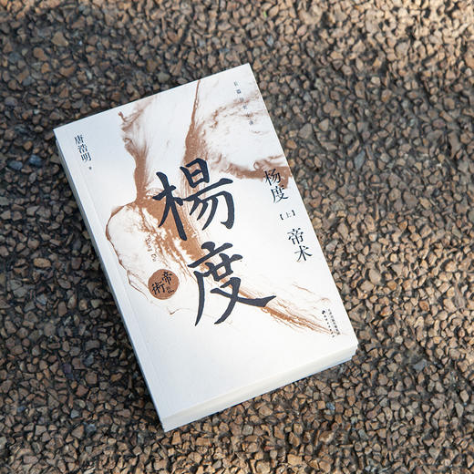 杨度（从帝王之学到修佛之路，一个理想主义者的挣扎和幻灭） 商品图4