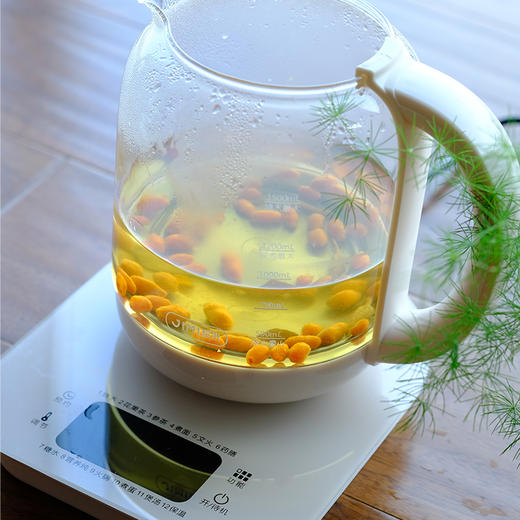只要99块！【积米钛养身壶，一台=N台】炖品+煲汤+熬粥+甜品+药膳 +花、果茶+温奶等等，全都一壶搞定！ 商品图2