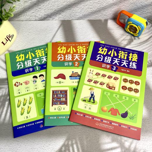 《幼小衔接分级天天练》 思维训练+拼音+数学+识字 商品图3