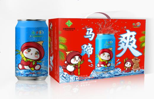 夏日马蹄爽！！粒粒果肉，真材实料【乳源瑶乡乐马蹄爽】第22届亚洲女子锦标赛指定饮品310ml*10罐/箱 商品图1
