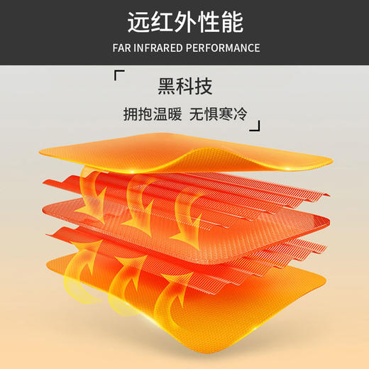 【远红外发热&抗菌抗静电】圣得西冬季新款系带加厚九分小锥裤男 商品图1