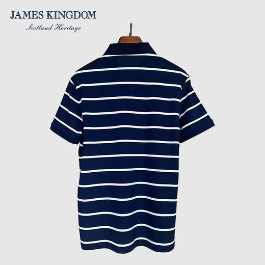 占姆士短袖POLO衫男士2025夏季潮流条纹休闲T恤翻领半袖上衣 商品图3