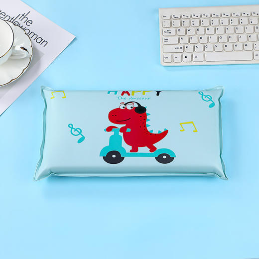 【物理降温，即用即冷！】夏季卡通海绵冰枕凉枕 降温冰垫免注水 学生午睡冰垫水枕头制定凉垫-QA 商品图9