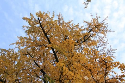 11月份，15条自驾路线推荐 商品图0