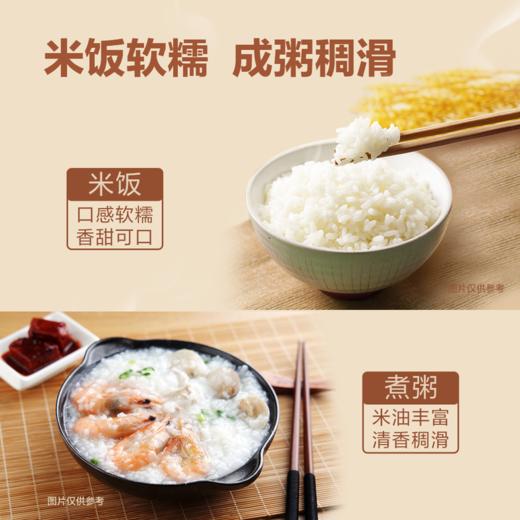 MM 山姆 金龙鱼 小町香米 5kg*2 商品图4