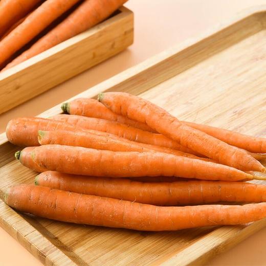 贝甜迷你胡萝卜 商品图4