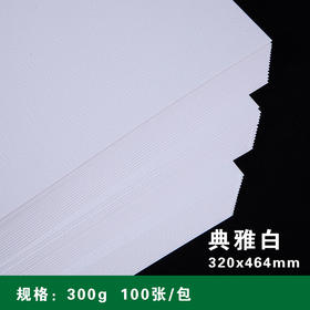 320*464mm 白色典雅纸 300g 特种纸/典雅纹/花纹纸/灵感纸/米白色卡纸