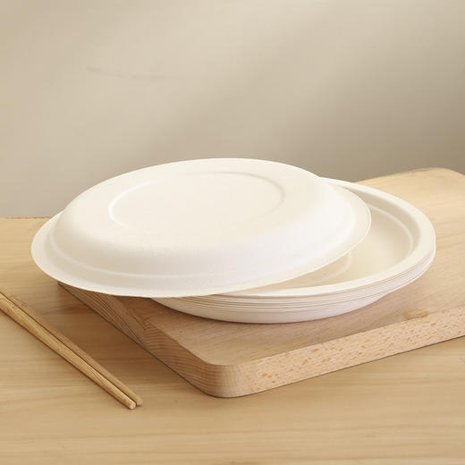 【批发】美丽雅甘蔗竹桨圆盘22.5厘米/10个入 商品图5