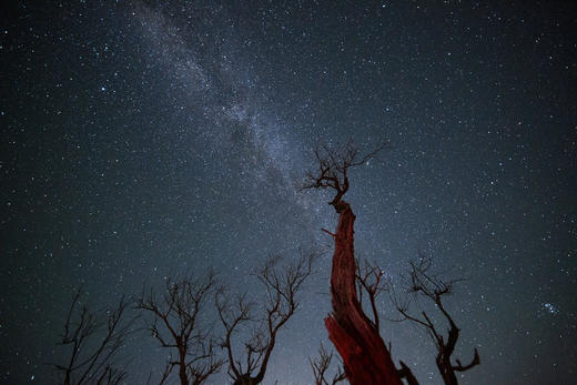 10.8确定出发【甘肃内蒙】黄河石林•龟城牧归•巴丹吉林沙漠粉红湖•额济纳胡杨林8天 商品图14