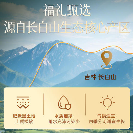 雷允上国产西洋参120g（10g*12罐）/盒  直径1.0-1.2cm 商品图6