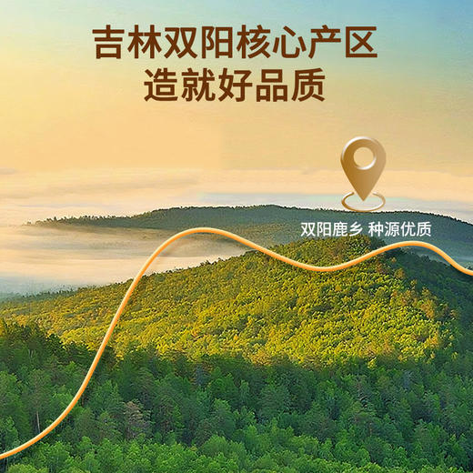 雷允上鹿茸100g/盒（姑苏锦礼版） 商品图3