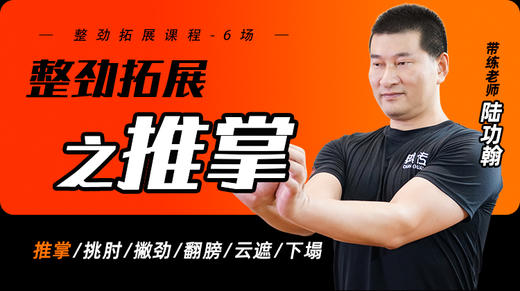 整劲拓展之——推掌 商品图0