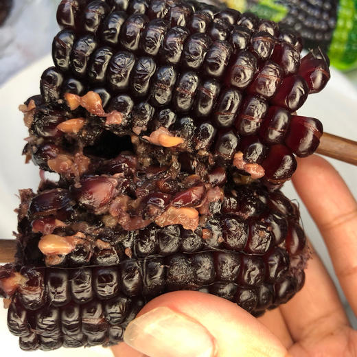 【玉米界的“黑珍珠” 】2025年新茬山西忻州黑糯玉米 约220g/根 软糯香甜 独立包装 黑玉米农产品 常温避光保存 冷藏（0℃-4℃）更佳 商品图7