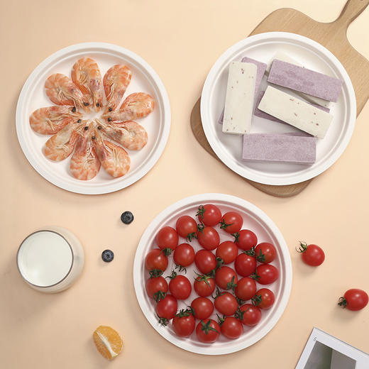 【批发】美丽雅甘蔗竹桨圆盘22.5厘米/10个入 商品图1