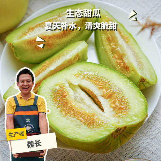 生态甜瓜（福建）| 合作生产*eco-melon | Partner Production 商品图0