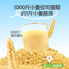精力沛小麦胚芽加卵磷脂胚芽片杂粮即食冲饮980g大罐装 商品缩略图3