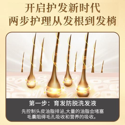 霸王育发防脱洗发液生姜防脱发去屑控油蓬松洗发露育发洗发液380ml效期29年4月（外包装日期轻微挤压变形） 商品图3