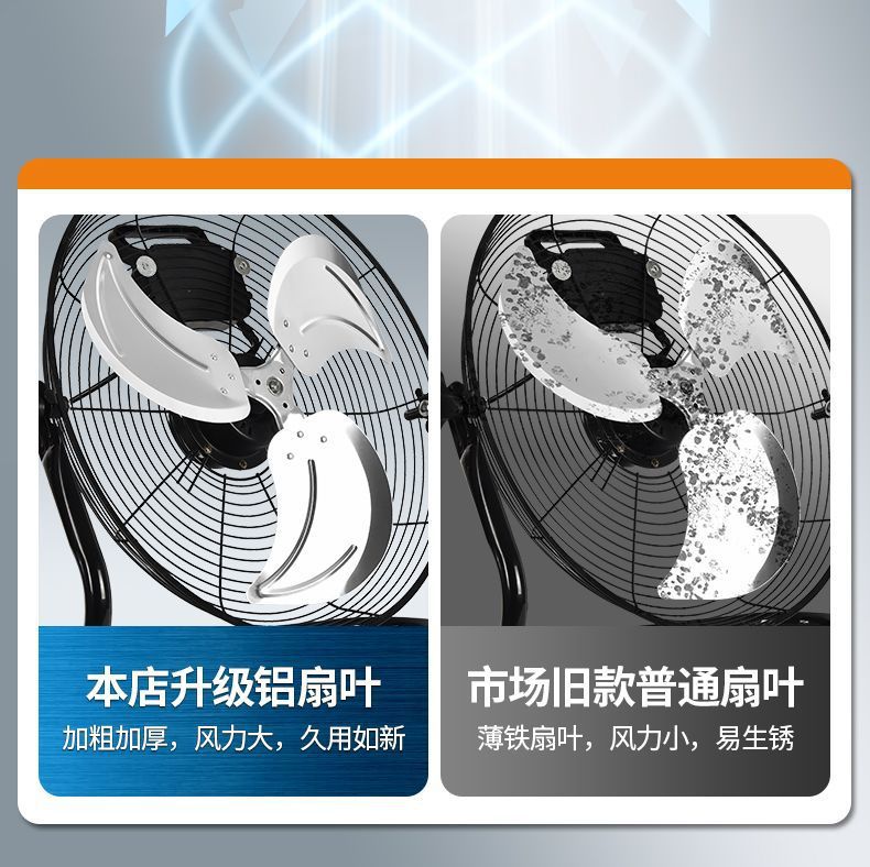 981d07d2-ad9e-4e83-92a4-01f22045a811.jpe