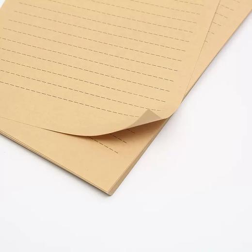 创意信纸信封套装 写信的信纸手写留言小卡片节日贺卡情人节表白干花信笺纸复古牛皮纸 随机1套 商品图5