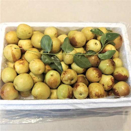 整箱5A冬枣 (3斤装）1500g/箱 商品图0