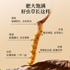 雷允上冬虫夏草20g/盒 商品缩略图5