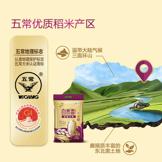 MM 山姆 福临门 自然香五常大米 10kg（5kg*2） 商品图3