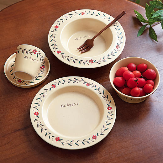 摩登主妇漂亮的盘子家用菜盘2025新款高颜值饭碗具草帽盘法式餐盘 商品图3