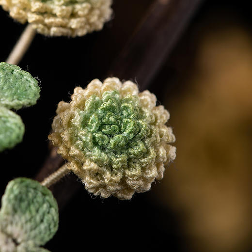 【林栖设计小店】【手工钩花】四叶草胸针原创设计感2025秋季新款配饰女2953309 商品图2