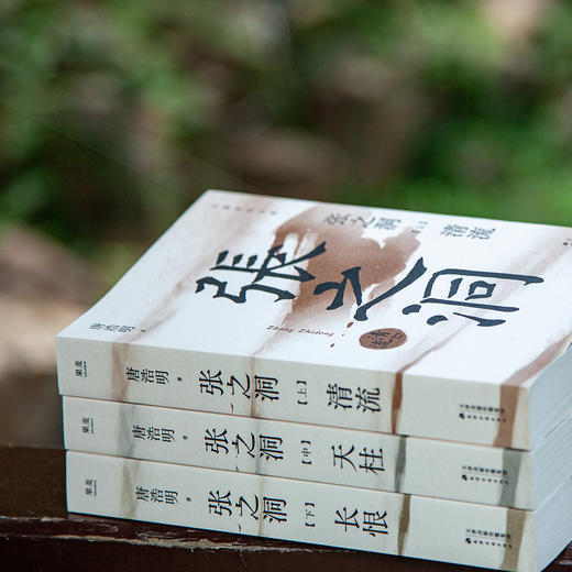 张之洞（马斯克崇拜的中国人！一本书了解张之洞为谋求中国的富强而探索、挣扎的一生） 商品图2