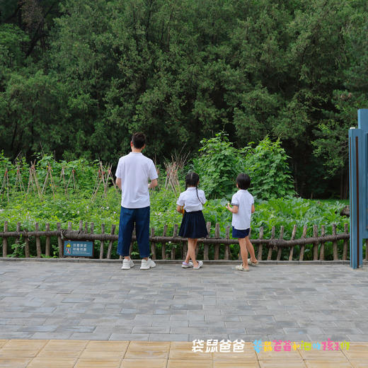 核销入住加赠大峡谷票，仅100张领完截止！25年9月复团【袋鼠爸爸延安行丨延安万达嘉华酒店】有178间别具陕北风貌的客房，保留原生窑洞特点，与红街隔湖相望步行10分钟可达，延安旅行首选 商品图7