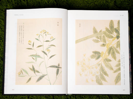 【中国浪漫主义文学源头】《楚辞译注》（彩图珍藏本）享誉40年的经典译注本，豆瓣9.6分口碑之作，全本全注全译|250幅彩图|三面刷边|布面烫金|赠藏书票 商品图10