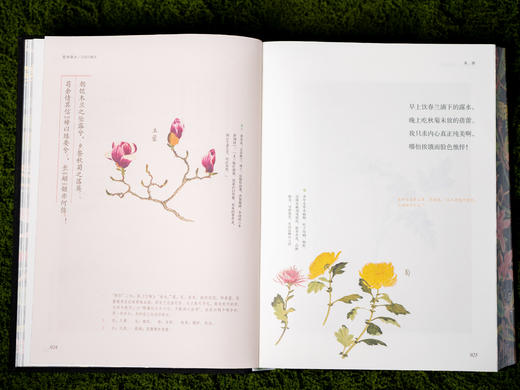 【中国浪漫主义文学源头】《楚辞译注》（彩图珍藏本）享誉40年的经典译注本，豆瓣9.6分口碑之作，全本全注全译|250幅彩图|三面刷边|布面烫金|赠藏书票 商品图11