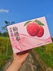仙进奉荔枝 新鲜采摘 纯甜果肉 爆汁 商品缩略图4