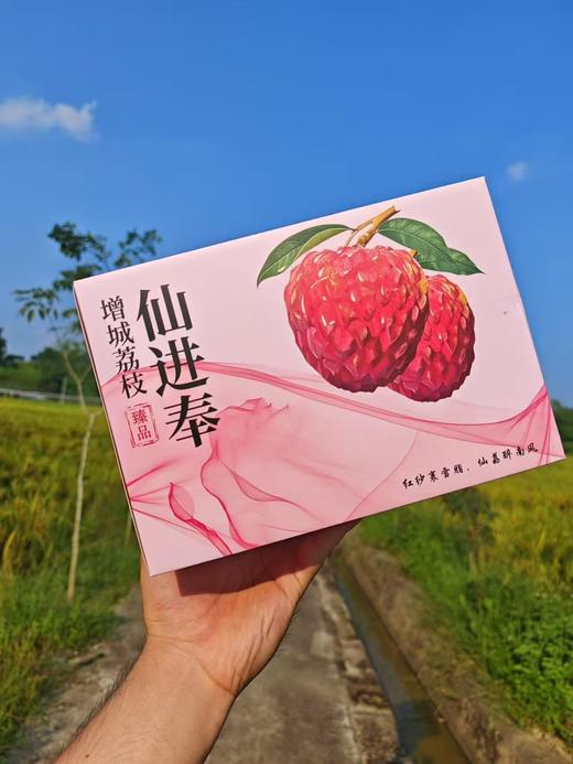 仙进奉荔枝 新鲜采摘 纯甜果肉 爆汁 商品图4