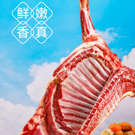 红金龙 25年红金龙盐池滩羊2088型【GKTX10.0】 商品图3