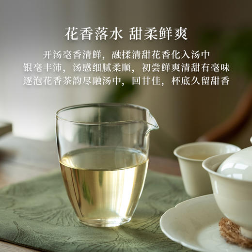 「北路白茶」24木白 福鼎白茶白牡丹2024年新茶紧压饼茶100g 商品图3