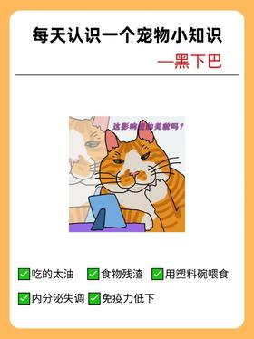 每天认识一个宠物小知识----黑下巴