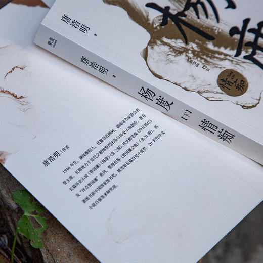 杨度（从帝王之学到修佛之路，一个理想主义者的挣扎和幻灭） 商品图1