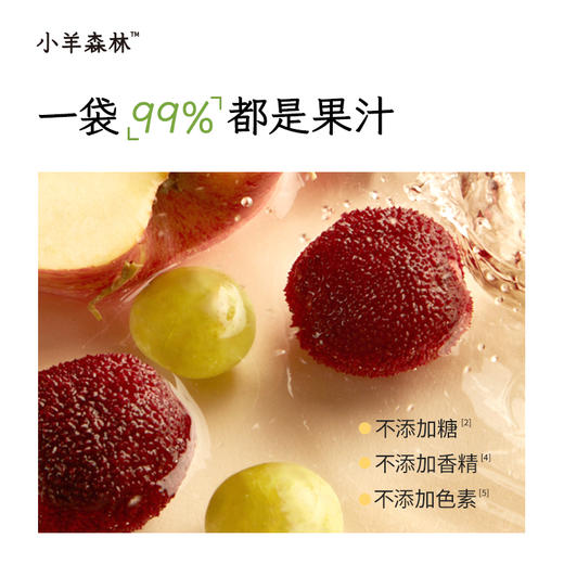 婴标「金银花杨梅饮」清热解毒 降实火 不添加糖 商品图1