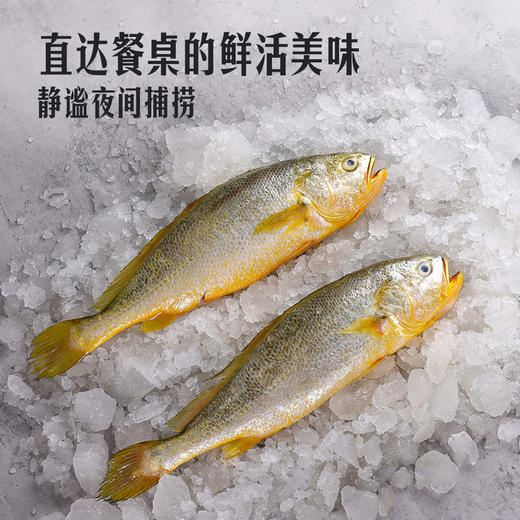 MM 山姆 Member's Mark 三去大黄鱼 2kg 商品图7