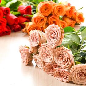 云南玫瑰花(颜色随机) 10支/束（鲜花/装饰）