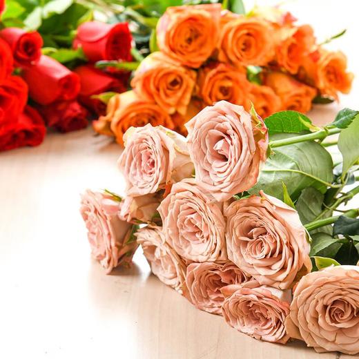 云南玫瑰花(颜色随机) 10支/束（鲜花/装饰） 商品图0