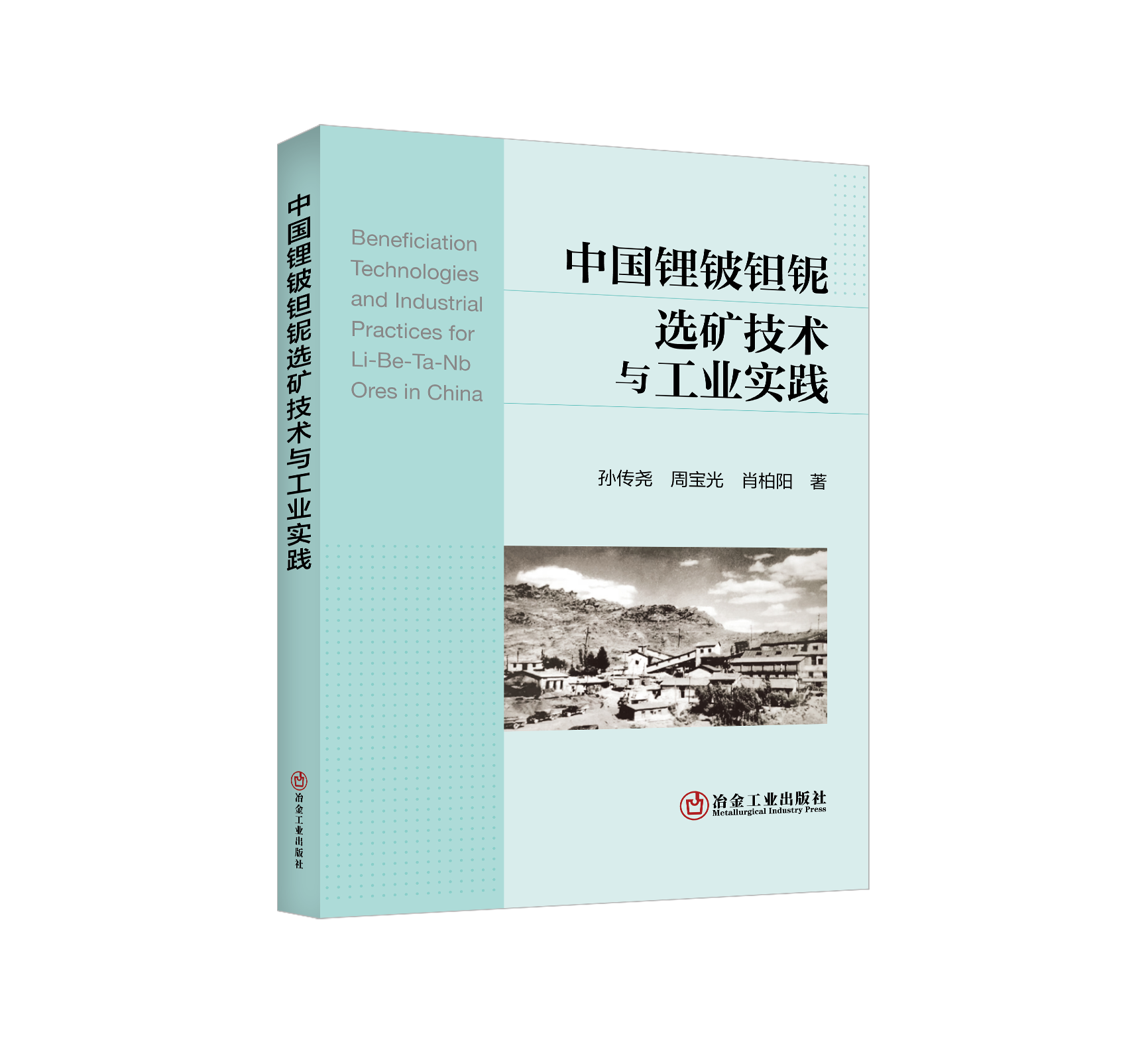 中国锂铍钽铌选矿技术与工业实践
