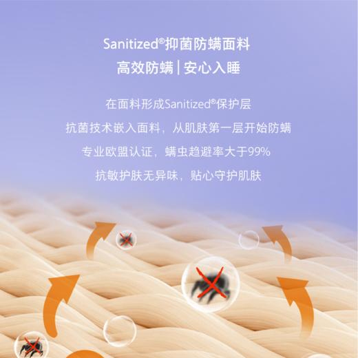 顾家家居整装 床垫 M9331-撑腰之星 商品图5