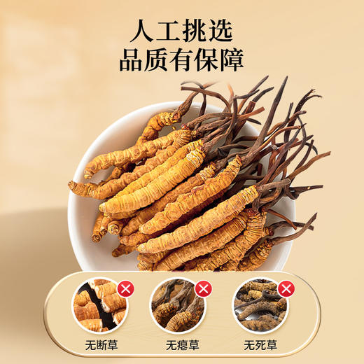 雷允上冬虫夏草20g/盒 商品图7