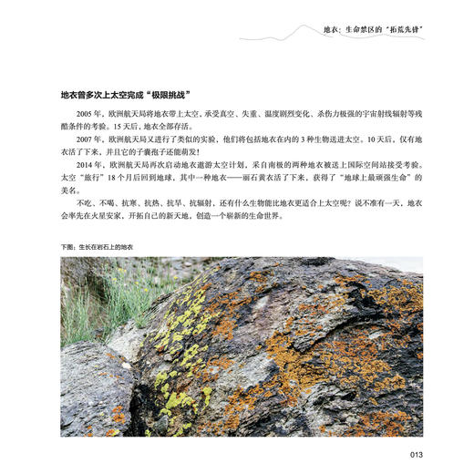 《喜马拉雅的种子》 商品图9