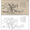 于非闇花鸟工笔画白描底稿《水仙》临摹勾线高清打印稿FA13 商品缩略图0