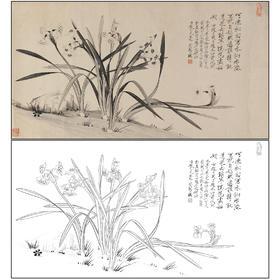于非闇花鸟工笔画白描底稿《水仙》临摹勾线高清打印稿FA13