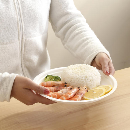 【批发】美丽雅甘蔗竹桨圆盘22.5厘米/10个入 商品图6