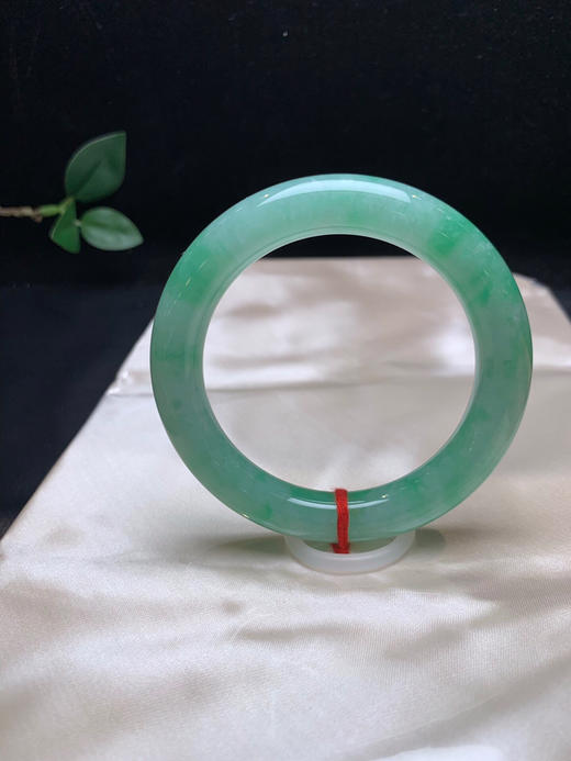 620541，56绿底圆条，满圈带果绿底色，色清新甜美 商品图1